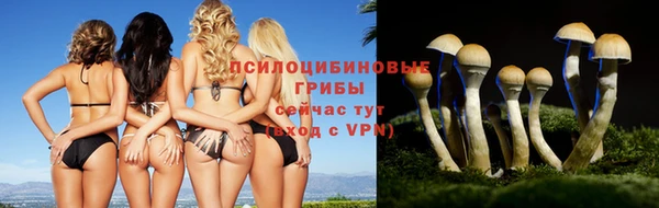 mix Беломорск