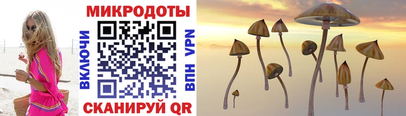 как найти наркотики  omg ссылки  Галлюциногенные грибы мухоморы  Олёкминск 